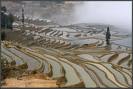 YUNNAN