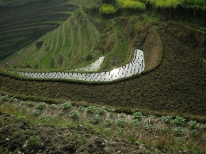 2_DSCN5316