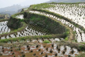 3_Zhuang_yao_Dong 076