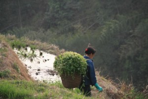 4_Zhuang_yao_Dong 077