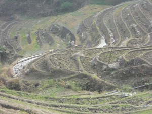 8_DSCN4177